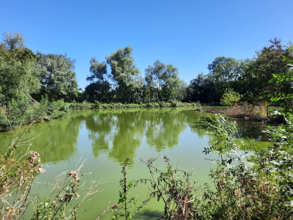 Bassin Castera Verduzan